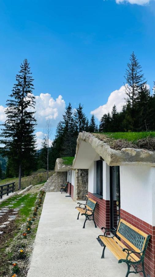 Resort Valea Tatarilor 라쿠 로슈 외부 사진